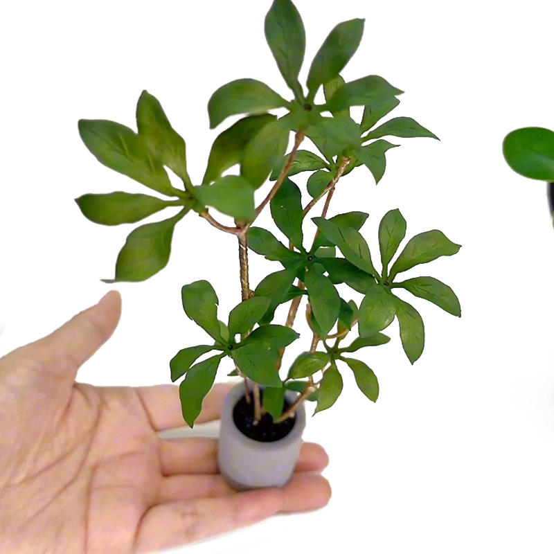 1:6 Dollhouse Miniature Potted - Bonsai Garden Accessories recension och pris