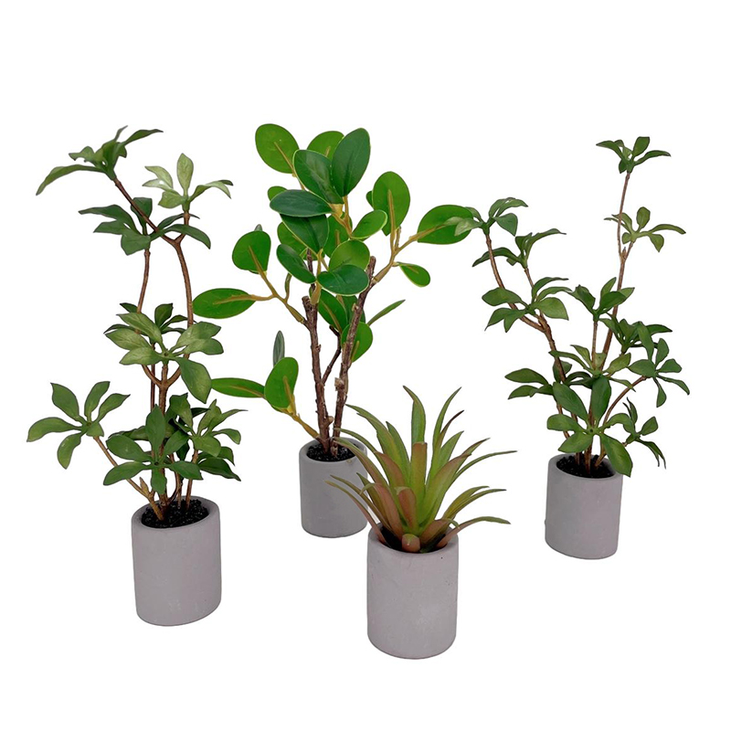 1:6 Dollhouse Miniature Potted - Bonsai Garden Accessories recension och pris
