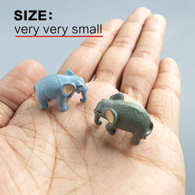 10Pcs Small Elephant Bonsai Fi - Bonsai Garden In Japan recension och pris