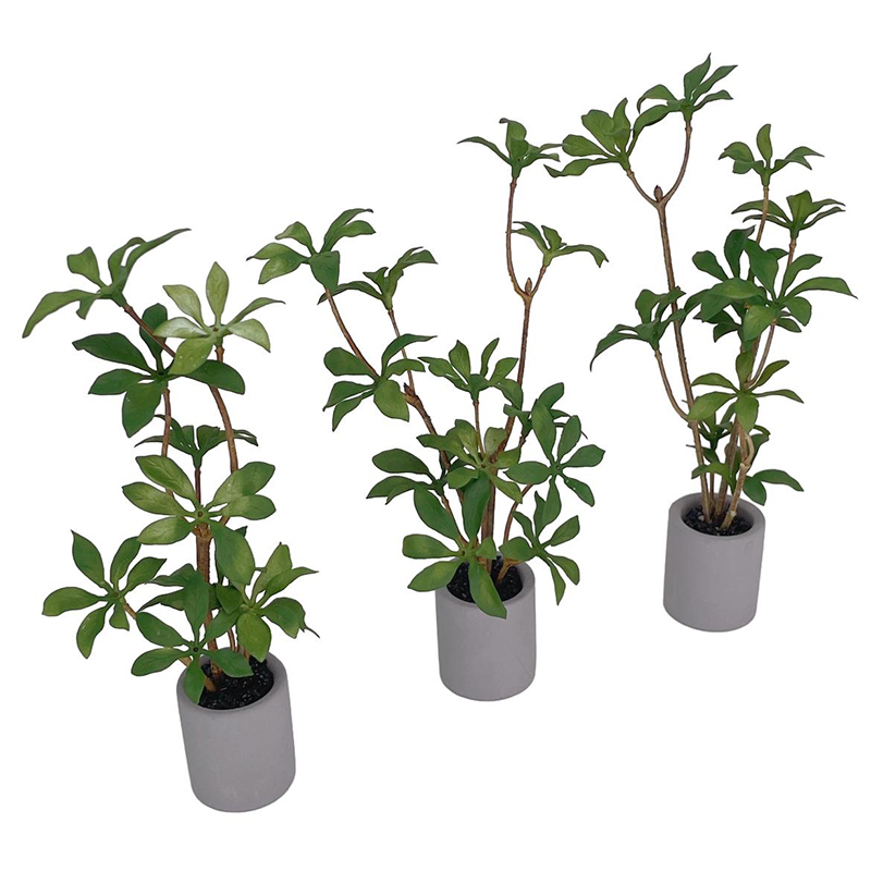 1:6 Dollhouse Miniature Potted - Bonsai Garden Accessories recension och pris