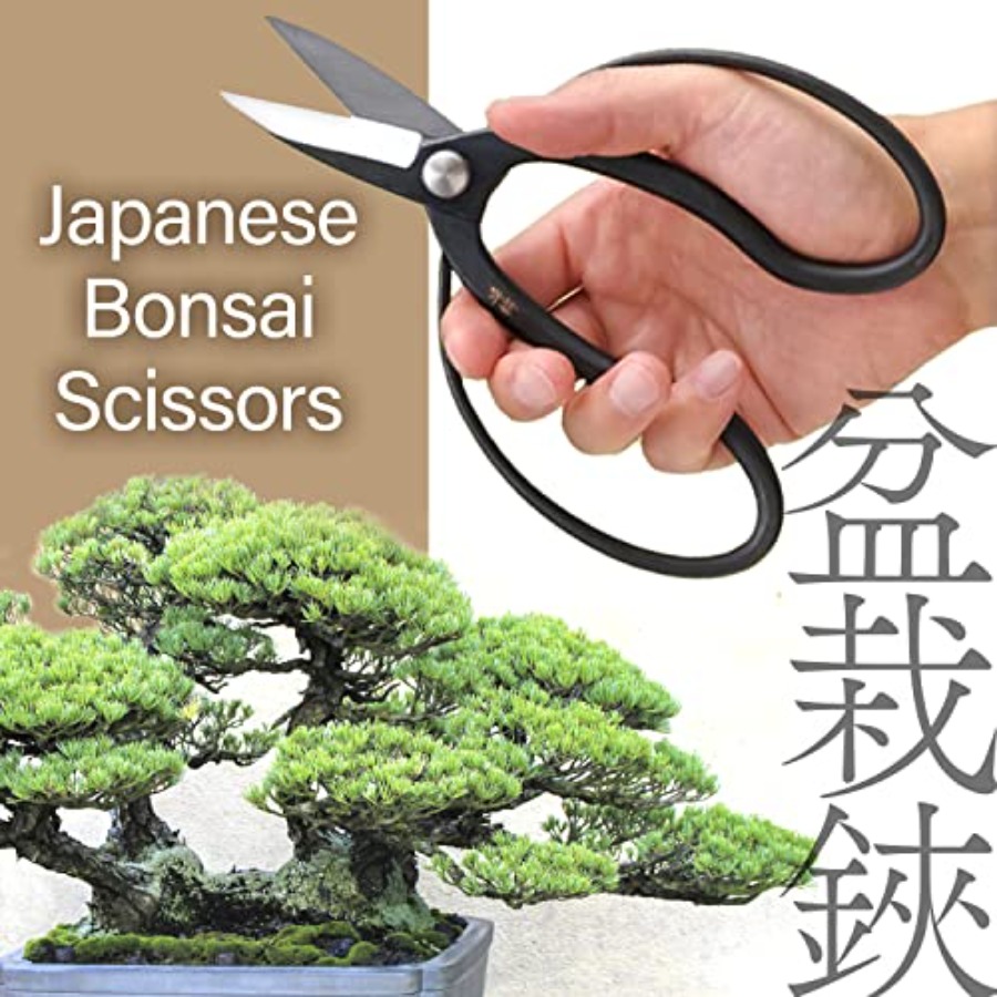 Japanese Suiryu Bonsai Scissor - Bonsai Garden In Japan recension och pris