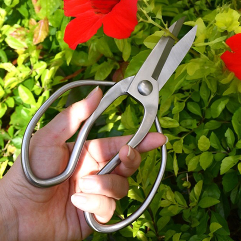 Stainless Steel Pruning Shears - Bonsai Garden Knife recension och pris