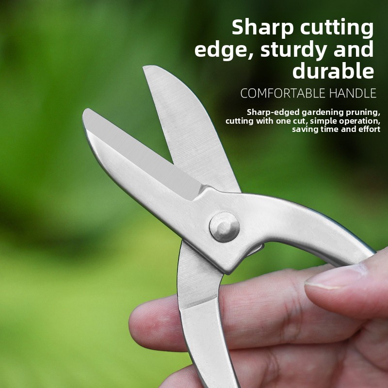 Stainless Steel Ikebana Scisso - Bonsai Garden Knife recension och pris